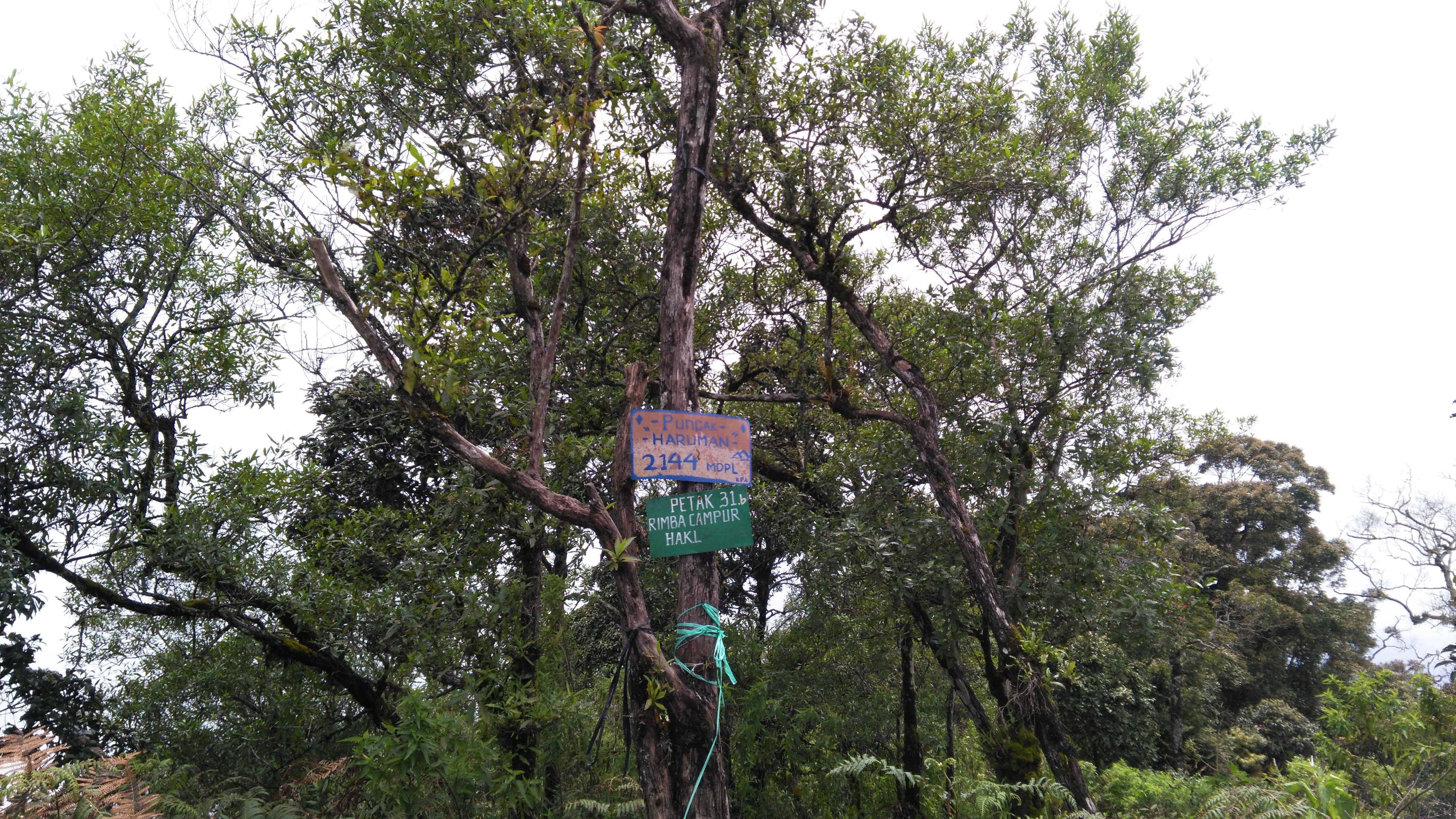 Puncak Gunung Haruman Bandung
